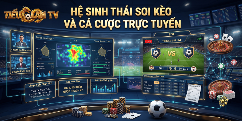 Hệ Sinh Thái Soi Kèo Và Cá Cược Trực Tuyến tại Tieulam TV Hệ Sinh Thái Soi Kèo Và Cá Cược Trực Tuyến tại Tieulam TV