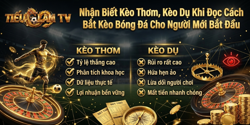 Nhận Biết Kèo Thơm, Kèo Dụ Khi Đọc Cách Bắt Kèo Bóng Đá Cho Người Mới Bắt Đầu